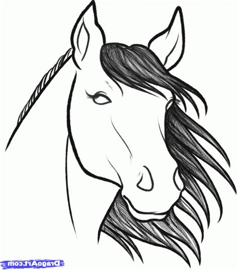 mustang horse head drawing